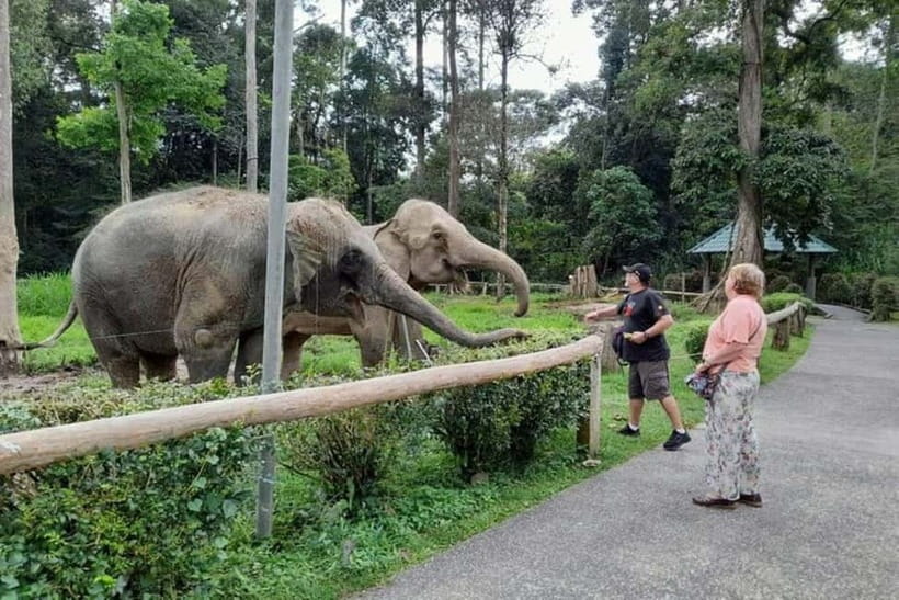 From Kuala Lumpur: Kuala Gandah & Batu Caves Day Trip - The guide experience: communication makes a difference
