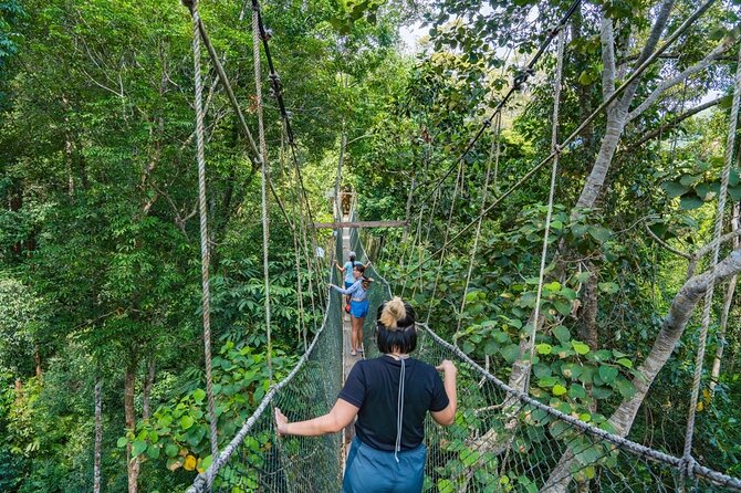 From Kuala Lumpur Taman Negara Day Trip With Lunch - Key highlights you should know before you go