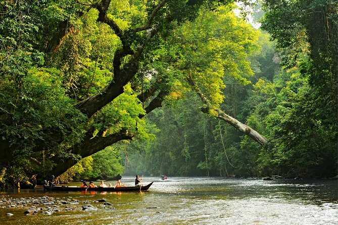 From Kuala Lumpur Taman Negara Day Trip With Lunch - Why Taman Negara Works as a KL Escape