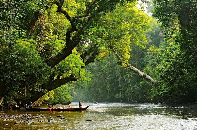 From Kuala Lumpur Taman Negara Day Trip With Lunch - Boat Ride and Rapids Fun: Getting Wet the Sensible Way