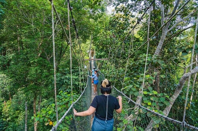 From Kuala Lumpur Taman Negara Day Trip With Lunch - Price and Value at $178 Per Person