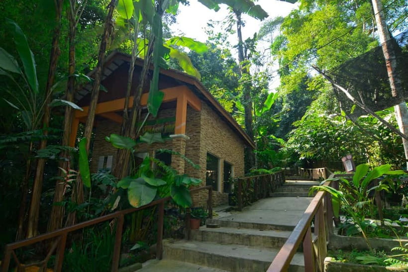 From Kuala Lumpur: Taman Negara Private Tour - Key things I’d circle before you book