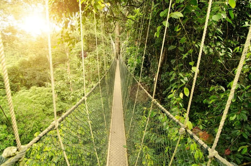 From Kuala Lumpur: Taman Negara Private Tour - Why this Taman Negara day trip feels worth it