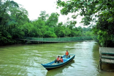 From Kuala Lumpur: Taman Negara Private Tour - The Kuala Lumpur drive: comfortable transport, long day risk