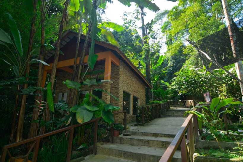 From Kuala Lumpur: Taman Negara Private Tour - Your best packing list for comfort (not gear theater)