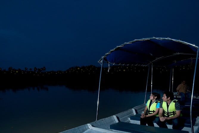 Group Tour: Kuala Selangor Firefly Blinking's including Dinner - Getting There From Kuala Lumpur: Pickup and a Small Group Pace