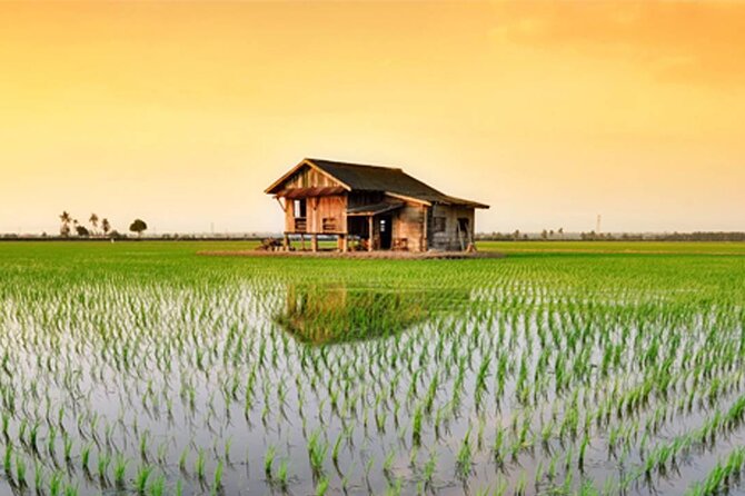 Instagrammable Kuala Selangor Sky Mirror Tour with Transfer - Sky Mirror at Kuala Selangor: why this looks like Salar de Uyuni light