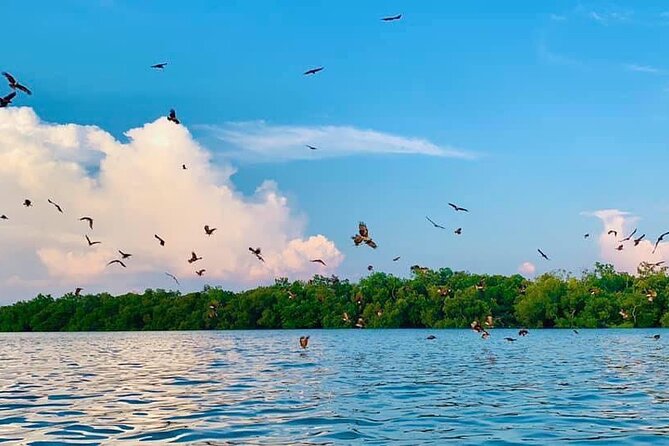 Instagrammable Kuala Selangor Sky Mirror Tour with Transfer - Price and value: is $90 a good deal for this day?