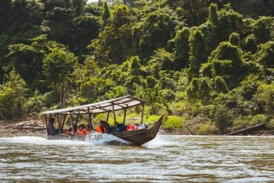 Jungle Odyssey: Unleash Your Adventure in Taman Negara! - Taman Negara National Park Time: What You’ll Actually Do