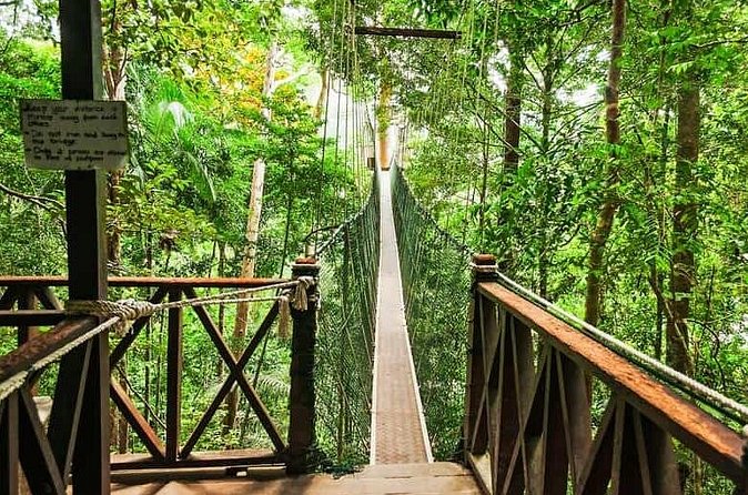 Jungle Odyssey: Unleash Your Adventure in Taman Negara! - Price and Value: Is $169.66 a Fair Deal?