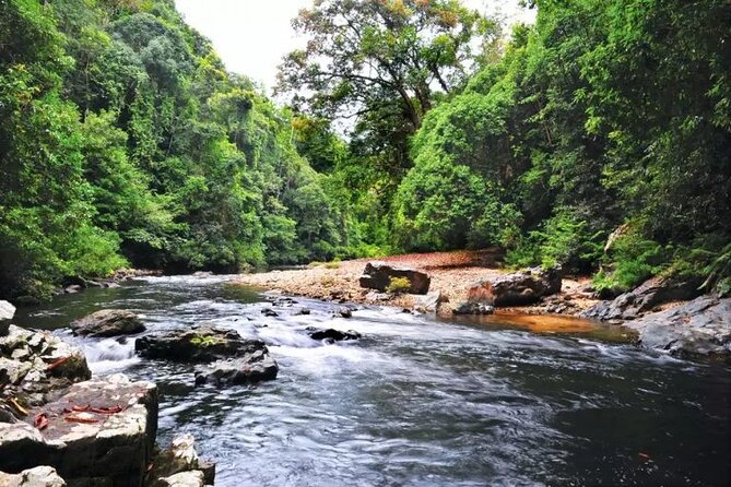 Jungle Odyssey: Unleash Your Adventure in Taman Negara! - Who Should Book Jungle Odyssey for Taman Negara?