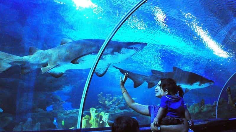 Kuala Lumpur: Aquaria KLCC Entry Ticket - Aquaria KLCC location: why being under KLCC matters