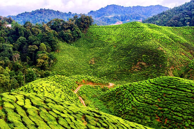 Kuala Lumpur: Cameron Highlands & Batu Caves Private Day Tour - Lata Iskandar waterfall stop: a jungle break with snack time