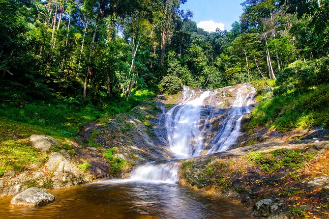 Kuala Lumpur: Cameron Highlands & Batu Caves Private Day Tour - Tea estates and Tanah Rata town time: the highland rhythm