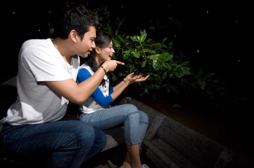Kuala Lumpur: Kuala Selangor Firefly Tour and Dinner - Seafood Dinner Near Bukit Melawati: What’s Included and Why It Works