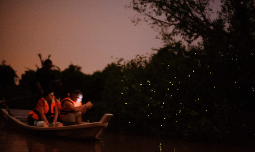 Kuala Lumpur: Kuala Selangor Firefly Tour and Dinner - Who Should Book This Firefly and Seafood Night