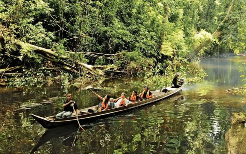Kuala Lumpur: Taman Negara National Park Teras Waterfall - Who should book this day trip (and who should skip it)