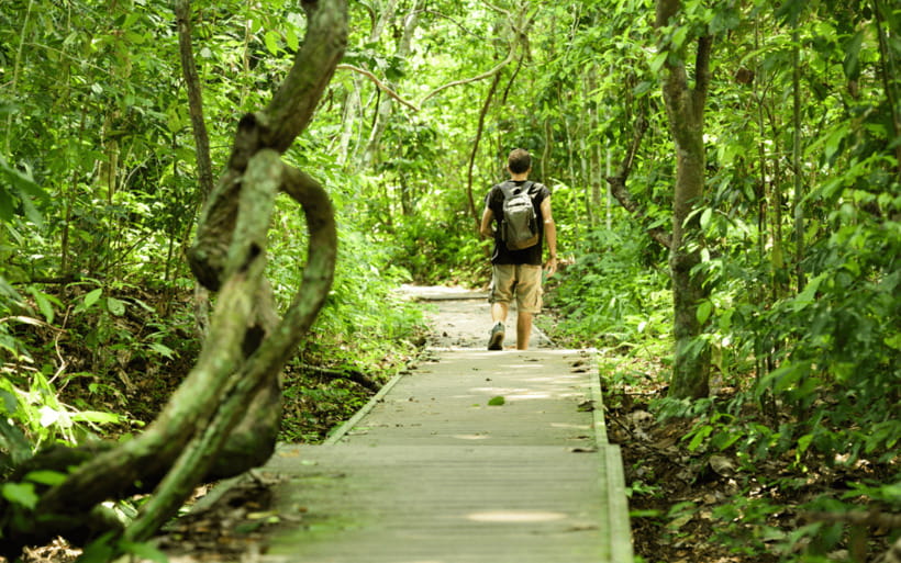 Kuala Lumpur: Taman Negara National Park Teras Waterfall - What to pack (and wear) for jungle heat and sudden rain
