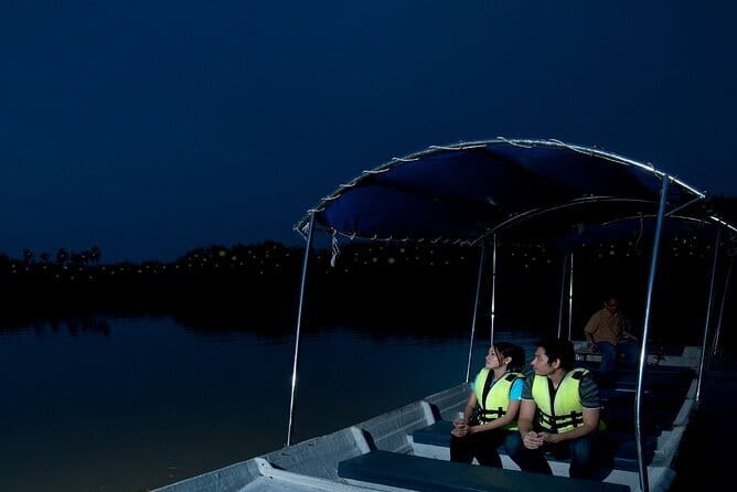 Kuala Selangor Firefly Blinkings Private Tour with Seafood Dinner - Key things to know before you go