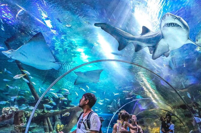 Malaysia: Aquaria KLCC Admission E-Ticket - Aquaria KLCC admission e-ticket: the big idea