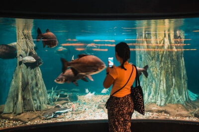 Malaysia: Aquaria KLCC Admission E-Ticket - The main show: the 90m transparent underwater tunnel