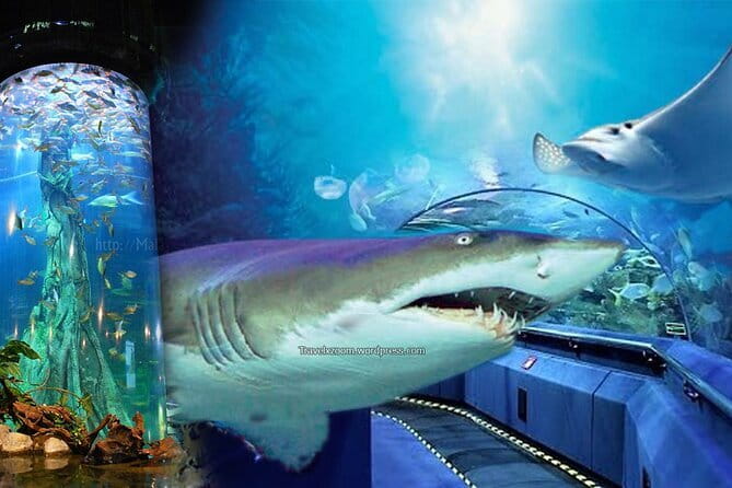 Malaysia: Aquaria KLCC Admission E-Ticket - Interactive exhibits: where up-close matters