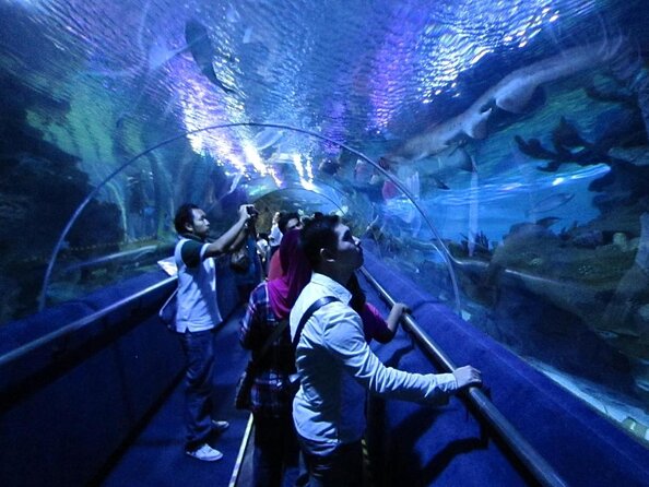 Malaysia: Aquaria KLCC Entry Ticket - Key Points You’ll Care About