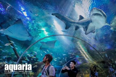 Malaysia: Aquaria KLCC Entry Ticket - Getting Your Mobile Ticket and Avoiding Ticket Confusion