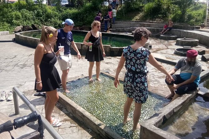 Nature’s Wonders: Kuala Selangor Fireflies & Hot Springs Tour - Pickup Logistics: Where the Tour Usually Wins
