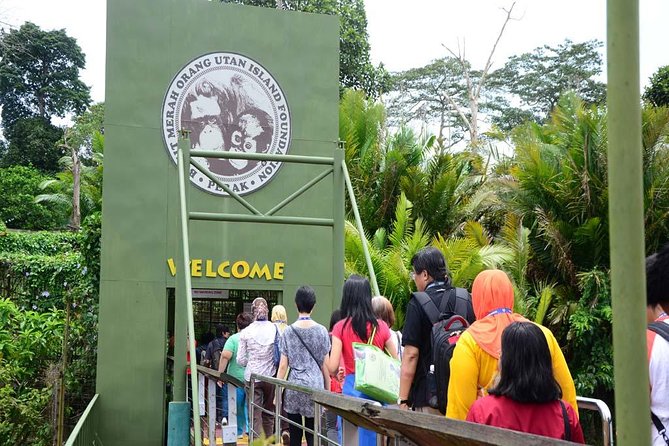 Orang Utan Island and Perak Tong Cave Temple Day Tour from Kuala Lumpur - Key Points to Know Before You Go