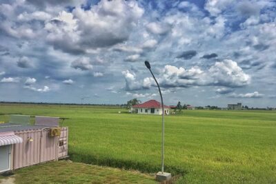 Paddy Field, Fishing Village Sekinchan DAY Tour Lunch (SIC-Shared/Join In Tour) - Price and Value: What $65 Buys You in a Real Day