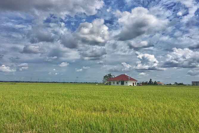 Paddy Field, Fishing Village Sekinchan DAY Tour Lunch (SIC-Shared/Join In Tour) - Beach Time and the Wishing Tree Moment (Plus Weather Bets)