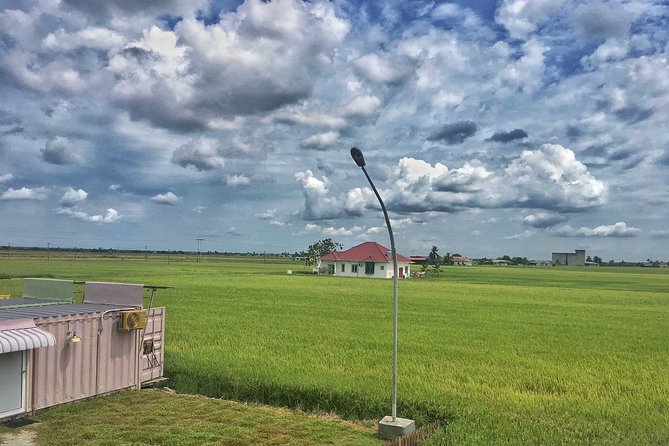 Paddy Field, Fishing Village Sekinchan DAY Tour Lunch (SIC-Shared/Join In Tour) - Price and Value: What $65 Buys You in a Real Day