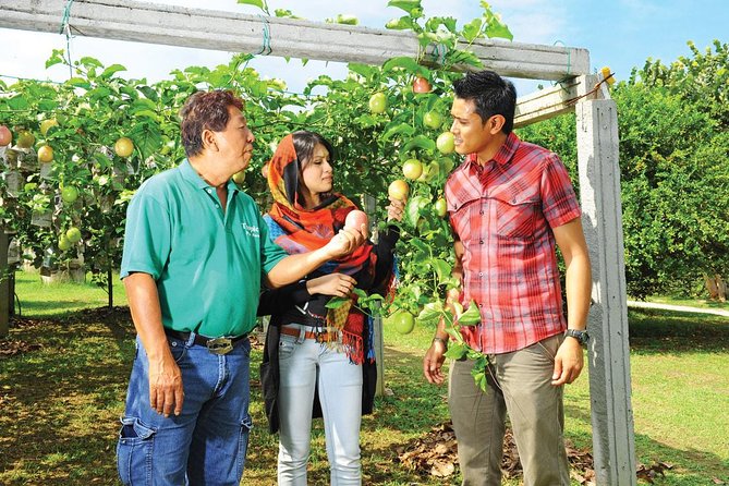 Penang Full Day Tour with Penang Hill, Kek Lok Si & Fruit Farm - Kek Lok Si Temple: multiple styles, one big hill complex