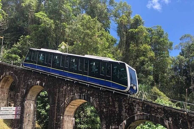 Penang Full Day Tour with Penang Hill, Kek Lok Si & Fruit Farm - Lunch and timing: how this tour fits your energy