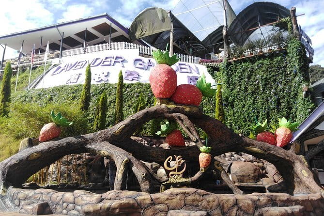Private: Cameron Highlands 2 days 1 night Trip - Price and value: what $218.54 covers (and what it doesn’t)