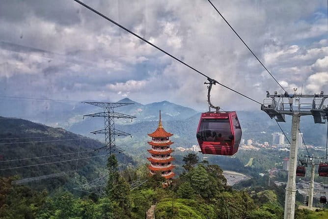 Private Fireflies Tour with Blue Tears and Seafood Dinner - Price and value: why $80 can be a smart deal