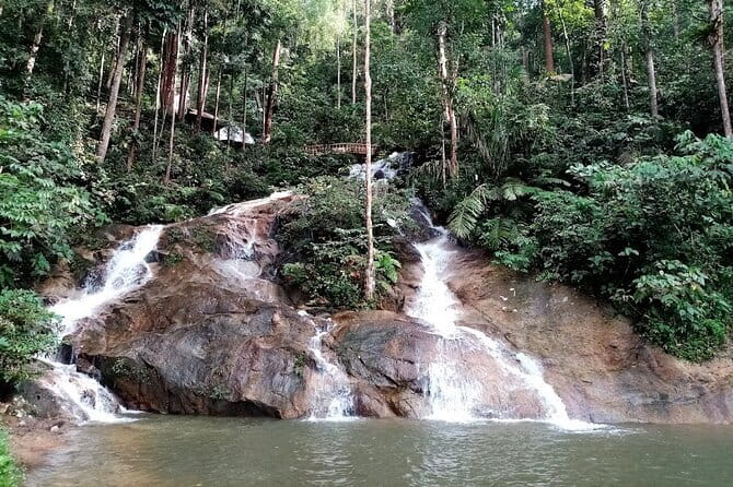 Private Fireflies Tour with Blue Tears and Seafood Dinner - What to pack and how to be comfortable