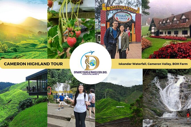 Private Full-Day Cameron Highlands Nature Tour from Kuala Lumpur - Key Highlights You Should Know Before You Go