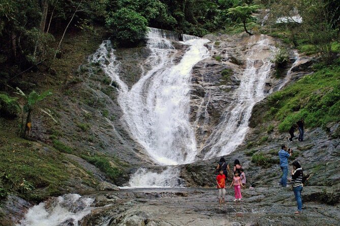 Private Full-Day Cameron Highlands Nature Tour from Kuala Lumpur - Rose Valley, Brinchang, and Sam Poh Temple for a Full Hill-Country Sweep