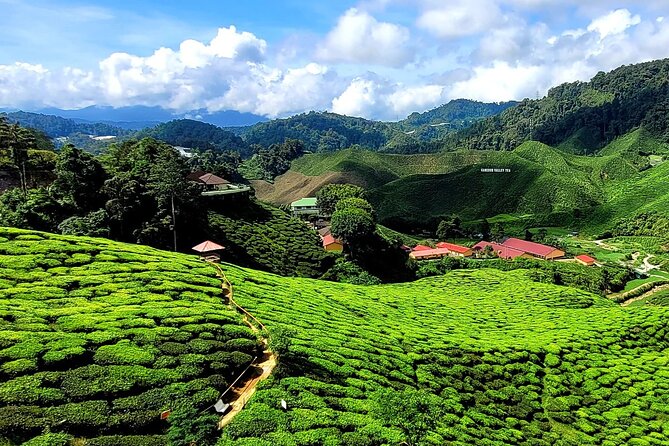 Private Full-Day Cameron Highlands Nature Tour from Kuala Lumpur - Golfer’s Café Lunch Stop: Rest Time With Views