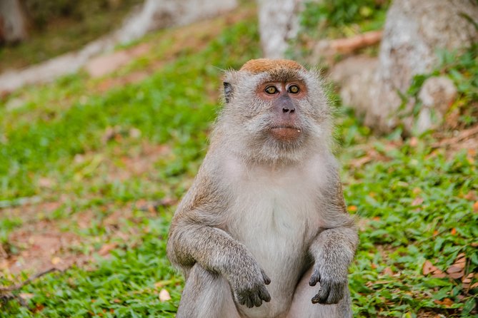 Private Kanching Waterfalls with Batu Caves & Ramayana Caves Tour - Price and value at $45 per person for a private half-day