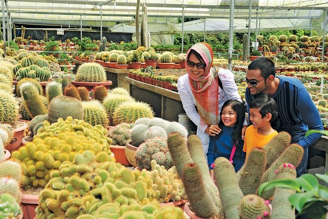 Private Nature Trip to Cameron Highlands from Kuala Lumpur - Lunch, markets, and the little food choices that matter