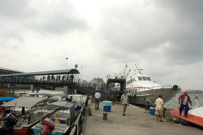 Private Tour: Crab Island Sightseeing Boat Ride and Seafood Lunch - Key things you’ll notice on this tour