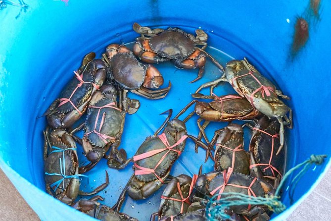 Private Tour: Crab Island Sightseeing Boat Ride and Seafood Lunch - Seafood lunch on the island: what to expect and how to order