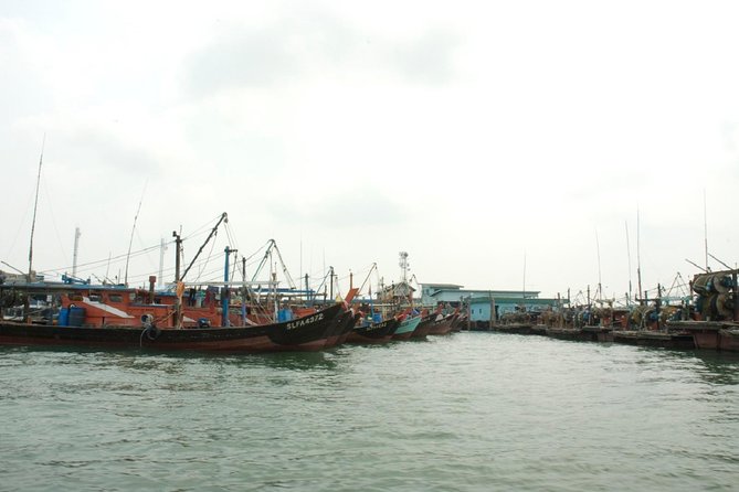 Private Tour: Crab Island Sightseeing Boat Ride and Seafood Lunch - Practical tips for a smoother Crab Island day