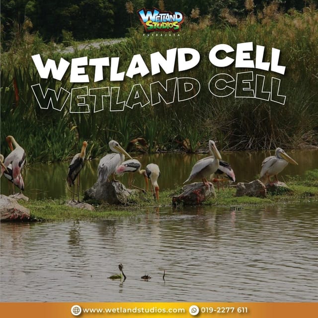 Putrajaya: Wetland Studios Admission Ticket - Tips to get the most out of your Wetland Studios day