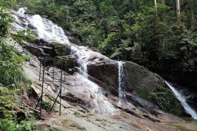 Rainforest-Cascading Waterfall & Batu Cave (Private Tour) - Hotel pickup that keeps your day from getting messy