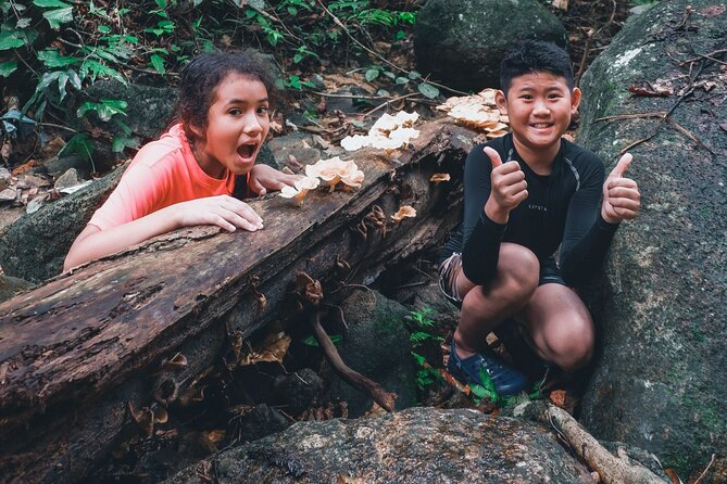Secluded Waterfall Adventure - Your 4-Hour Timeline: 45 Minutes Out, 30 Minutes Back