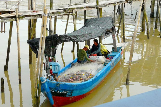 Silver Leaf Monkeys and Firefly Tour with Boat Ride and Seafood Dinner - From Kuala Lumpur pickup to a night show at 4:00 pm